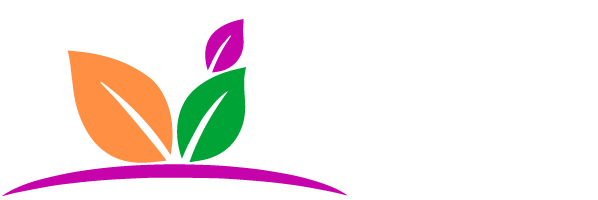 Ebenezer Color Solutions Limimited